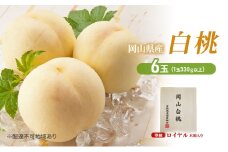 桃 2025年 先行予約 岡山白桃 6玉（1玉330g以上）等級：ロイヤル 木箱入り もも モモ 岡山県産 国産 フルーツ 果物 セット ギフト [№5735-2042]