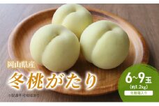 桃 2025年 先行予約 冬桃がたり 6～9玉（約1.2kg）化粧箱入り もも モモ 岡山県産 国産 フルーツ 果物 セット ギフト [№5735-2043]
