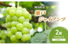 ぶどう 2025年 先行予約 瀬戸ジャイアンツ 2房(1房480g以上) 化粧箱入り ブドウ 葡萄 岡山県産 国産 フルーツ 果物 ギフト [№5735-2050]