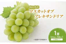 ぶどう 2025年 先行予約 マスカットオブアレキサンドリア 1房(600g以上・秀品以上) 化粧箱入り [№5735-2048]