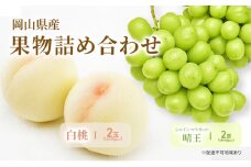 もも ぶどう 2025年 先行予約 詰合/白桃 2玉(1玉220g以上)・シャインマスカット 晴王  2房(1房480g以上) 化粧箱入り 岡山県産 国産 フルーツ 果物 ギフト [№5735-2053]