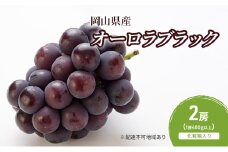 ぶどう 2025年 先行予約 オーロラブラック 2房(1房480g以上)　化粧箱入り ブドウ 葡萄 岡山県産 国産 フルーツ 果物 ギフト [№5735-2052]