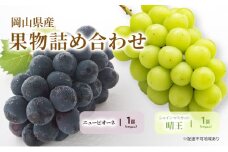 ぶどう 2025年 先行予約 詰合/ニューピオーネ 1房(480g以上)・シャインマスカット 晴王 1房(480g以上) 化粧箱入り ブドウ 葡萄 岡山県産 国産 フルーツ 果物 ギフト [№5735-2055]