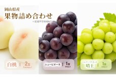 もも ぶどう 2025年 先行予約 詰合/白桃 2玉(1玉220g以上)・ニューピオーネ1房(480g以上)・シャインマスカット 晴王 1房(480g以上) 化粧箱入り 岡山県産 国産 フルーツ 果物 ギフト [№5735-2054]