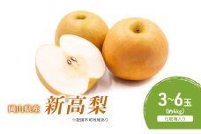 梨 2025年 先行予約 新高梨 3-6玉（約4kg） 化粧箱入り なし ナシ 岡山県産 国産 フルーツ 果物 ギフト [№5735-2056]