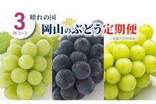 ぶどう 定期便 2025年 先行予約 晴れの国 岡山 の ぶどう定期便 3回コース 葡萄 ブドウ 岡山県産 国産 セット ギフト [№5735-2061]
