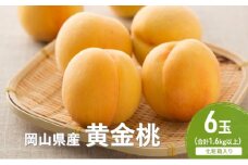 桃 2025年 先行予約 黄金桃 6玉(1.6kg以上) 化粧箱入り もも モモ 岡山県産 国産 フルーツ 果物 セット ギフト [№5735-2059]
