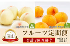 桃 定期便 2025年 先行予約 晴れの国 岡山 の フルーツ 定期便 2回コース 桃食べ比べ 岡山県産 国産 セット ギフト [№5735-2063]
