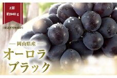 ぶどう 2025年 先行予約 オーロラブラック 2房 (約940ｇ) 化粧箱入り [№5735-2070]