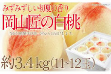 もも 2025年 先行予約 岡山匠の白桃 約3.4kg 11～12玉 犬塚農園 岡山県産  桃 モモ ギフト 初夏 みずみずしい  [№5735-2000]