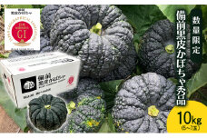【数量限定】備前黒皮かぼちゃ 秀品 10kg (5～7玉) 株式会社大町 岡山県 瀬戸内市 かぼちゃ 野菜 スイーツ 手軽 料理 [№5735-2075]
