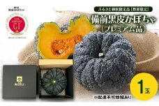 ふるさと納税限定品　【数量限定】備前黒皮かぼちゃ (プレミアム品) 1玉 株式会社大町 岡山県 瀬戸内市 かぼちゃ 野菜 スイーツ 手軽 料理 [№5735-2077]