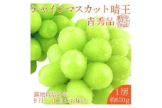 【2025年 予約受付中】 シャインマスカット 晴王 1房約620g 9月～10月出荷/ 岡山県産 種無し 皮ごと食べる みずみずしい フレッシュ 晴れの国 おかやま　 果物大国 彩美菜果 [№5735-2114]