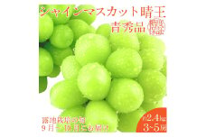 【2025年 予約受付中】 シャインマスカット 晴王 約2.4kg(3～5房) 9月～10月出荷/ 岡山県産 種無し 皮ごと食べる みずみずしい フレッシュ 晴れの国 おかやま 果物大国 彩美菜果 [№5735-2118]