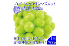 2025年予約受付中【2回 定期便】 プレミアムシャインマスカット晴王 1房約700g 人気 岡山県産 赤秀品 種無し 皮ごと食べる みずみずしい 9月・10月にお届け ハレノフルーツ [№5735-2139]