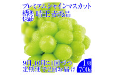2025年予約受付中【2回 定期便】 プレミアムシャインマスカット晴王 1房約700g 人気 岡山県産 赤秀品 種無し 皮ごと食べる みずみずしい 9月・10月にお届け ハレノフルーツ [№5735-2139]