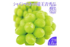 2025年予約受付中 シャインマスカット晴王2房 約1.4kg 7月～8月出荷 人気 岡山県産 種無し 皮ごと食べる みずみずしい フレッシュ 晴れの国 おかやま 果物大国 ハレノフルーツ [№5735-2145]