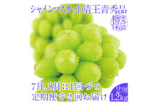 2025年予約受付中【2回定期便】シャインマスカット晴王2房 約1.2kg 7月8月に出荷 人気 岡山県産 種無し 皮ごと食べる みずみずしい フレッシュ 晴れの国 おかやま 果物大国 ハレノフルーツ [№5735-2149]