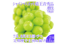 2025年予約受付中【2回定期便】シャインマスカット晴王2房 約1.4kg 7月8月に出荷 人気 岡山県産 種無し 皮ごと食べる みずみずしい フレッシュ 晴れの国 おかやま 果物大国 ハレノフルーツ [№5735-2151]