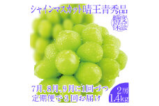 2025年予約受付中【3回定期便】シャインマスカット晴王2房 約1.4kg 7月8月9月に出荷 人気 岡山県産 種無し 皮ごと食べる みずみずしい ハレノフルーツ [№5735-2152]