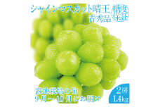 2025年 先行予約受付中 シャインマスカット晴王 2房 約1.4kg 岡山県産 種無し 皮ごと食べる みずみずしい 甘い フレッシュ 瀬戸内 晴れの国 おかやま 果物大国 ハレノフルーツ [№5735-2160]