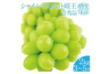 2025年 先行予約受付中 シャインマスカット晴王 約2kg(3～5房) 岡山県産 種無し 皮ごと食べる みずみずしい 甘い フレッシュ 瀬戸内 晴れの国 おかやま 果物大国 ハレノフルーツ [№5735-2161]