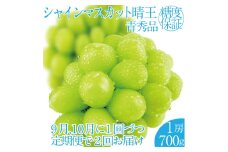 2025年 先行予約受付中【2回定期便】シャインマスカット晴王1房 約700g 岡山県産 種無し 皮ごと食べる みずみずしい 甘い フレッシュ 瀬戸内 晴れの国 おかやま 果物大国 ハレノフルーツ [№5735-2163]