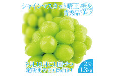 2025年 先行予約受付中【2回定期便】シャインマスカット晴王2房 約1.3kg 岡山県産 種無し 皮ごと食べる みずみずしい 甘い フレッシュ 瀬戸内 晴れの国 おかやま 果物大国 ハレノフルーツ [№5735-2166]