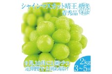 2025年 先行予約受付中【2回定期便】シャインマスカット晴王約2kg(3～5房) 岡山県産 種無し 皮ごと食べる みずみずしい 甘い フレッシュ 瀬戸内 晴れの国 おかやま 果物大国 ハレノフルーツ [№5735-2167]
