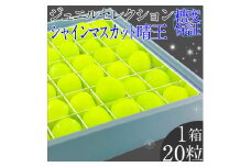 2025年 先行予約受付中 シャインマスカット晴王 ジュエルセレクション 1箱20粒 岡山県産 種無し 皮ごと食べる みずみずしい 甘い  瀬戸内  ハレノフルーツ [№5735-2168]