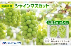 ぶどう 2025年 先行予約 シャイン マスカット 大房 2房 約1.4kg ブドウ 葡萄 岡山県産 国産 フルーツ 果物 直送！せとうちバスケット  [№5735-1953]