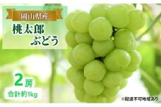 ぶどう 【2025年 早期受付】 桃太郎ぶどう 2房 合計約1kg ブドウ 葡萄 岡山県産 国産 フルーツ 果物 ギフト [№5735-2078]