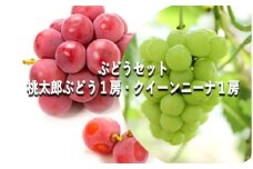 ぶどう 【2025年 早期受付】 ぶどうセット 桃太郎ぶどう 1房 ・ クイーンニーナ 1房 合計約1kg ブドウ 葡萄 岡山県産 国産 フルーツ 果物 ギフト [№5735-2082]