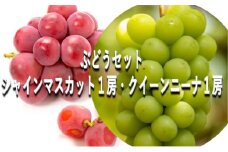 ぶどう 【2025年 早期受付】 ぶどうセット シャインマスカット 1房 ・ クイーンニーナ 1房（合計約1kg） ブドウ 葡萄 岡山県産 国産 フルーツ 果物 ギフト [№5735-2084]