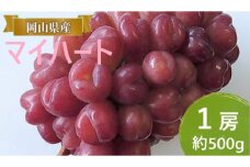 ぶどう 【2025年 早期受付】 マイハート 1房 約500g ブドウ 葡萄 岡山県産 国産 フルーツ 果物 ギフト [№5735-2088]