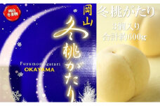 桃 【2025年 早期受付】 冬桃がたり 3個入り 合計約600g もも 岡山県産 国産 フルーツ 果物 ギフト [№5735-2090]