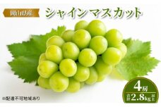 ぶどう 【2025年 先行予約】 シャインマスカット 4房(合計2.8kg以上) マスカット ブドウ 葡萄 岡山県産 国産  フルーツ 果物 ギフト [№5735-2128]