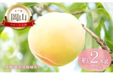 桃 【2026年 先行予約】 晴れの国 おかやま の 白桃 2kg(5玉～7玉) もも モモ 岡山県産 国産 フルーツ 果物 ギフト [№5735-2129]