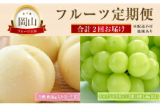 フルーツ 定期便 【2025年 先行予約】 晴れの国 おかやま の 白桃 2kg(5玉～7玉) シャインマスカット 2房 合計1.4kg以上 岡山県産 国産 セット ギフト [№5735-2132]