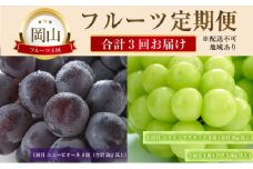 ぶどう 【2025年 先行予約】 晴れの国 おかやま の フルーツ 定期便  葡萄 ニュー ピオーネ シャインマスカット 岡山県産 国産 セット ギフト [№5735-2134]