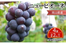 ぶどう 【2025年 先行予約】 ニュー ピオーネ 4房 合計2kg以上 ブドウ 葡萄 岡山県産 国産 フルーツ 果物 ギフト [№5735-2136]