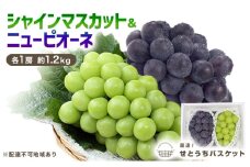 ぶどう 2025年 先行予約 シャインマスカット＆ ニュー ピオーネ  各1房 約1.2kg ブドウ 葡萄 岡山県産 国産 フルーツ 果物 直送！せとうちバスケット [№5735-3262]