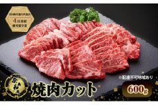奈義和牛 焼肉カット 600g 肉 お肉 なぎビーフ 牛肉 牛 和牛 焼肉 国産 岡山 瀬戸内市 [№5735-3272]