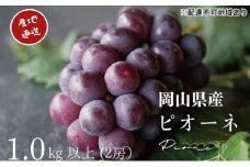 厳選 ニューピオーネ 2房 合計1.0kg以上 産地直送 朝採れ ぶどう 葡萄 Kawahara Green Farm 岡山県産 2025年 [№5735-3283]