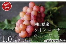 厳選 クイーンニーナ 1.0kg以上 2房 産地直送 朝採れ ぶどう 葡萄 KAWAHARA Green Farm 岡山県産 2025年 [№5735-3282]