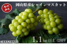 厳選 シャインマスカット 2房 合計1.1kg以上 産地直送 朝採れ ぶどう 葡萄 Kawahara Green Farm 岡山県産 2025年 [№5735-3284]