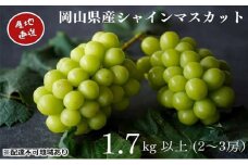 厳選 シャインマスカット 2～3房 合計1.7kg以上 産地直送 朝採れ ぶどう 葡萄 Kawahara Green Farm 岡山県産 2025年 [№5735-3285]