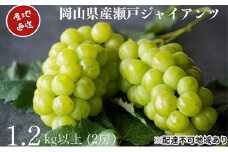 厳選 瀬戸ジャイアンツ 2房 合計1.2kg以上 産地直送 朝採れ ぶどう 葡萄 Kawahara Green Farm 岡山県産 2025年 [№5735-3286]