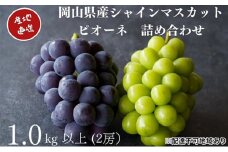 厳選 シャインマスカット・ニューピオーネ 2房 合計1.0kg以上 詰合せ 産地直送 朝採れ ぶどう 葡萄 Kawahara Green Farm 岡山県産 2025年 [№5735-3288]
