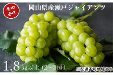 厳選 瀬戸ジャイアンツ 2～3房 合計1.8kg以上 産地直送 朝採れ ぶどう 葡萄 Kawahara Green Farm 岡山県産 2025年 [№5735-3287]